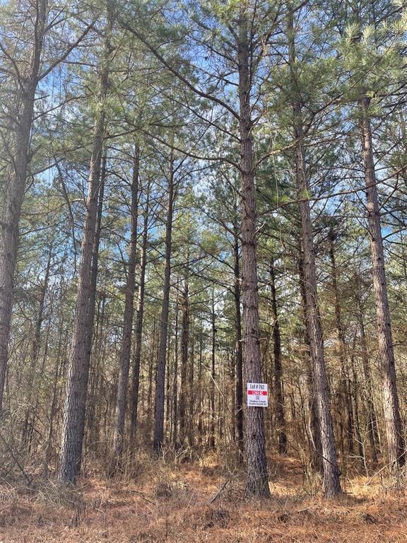 762 Timber Creek Trails South XI