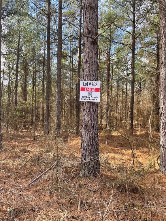 762 Timber Creek Trails South XI