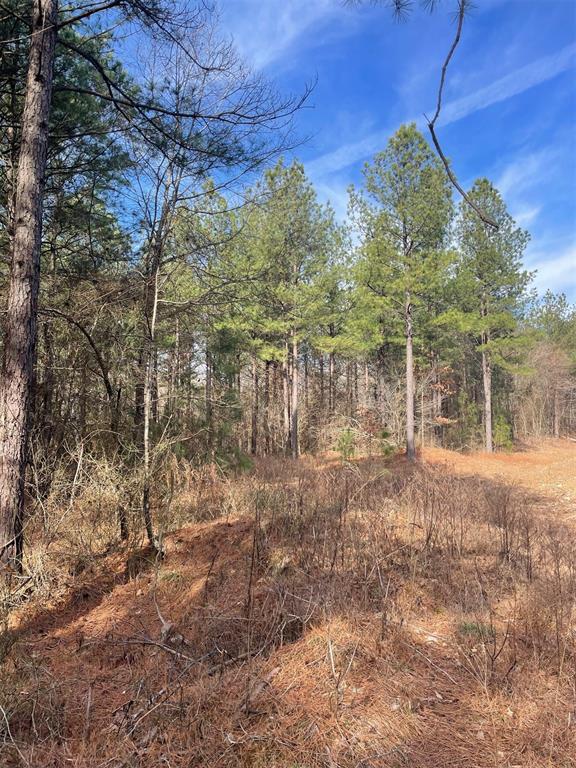 762 Timber Creek Trails South XI