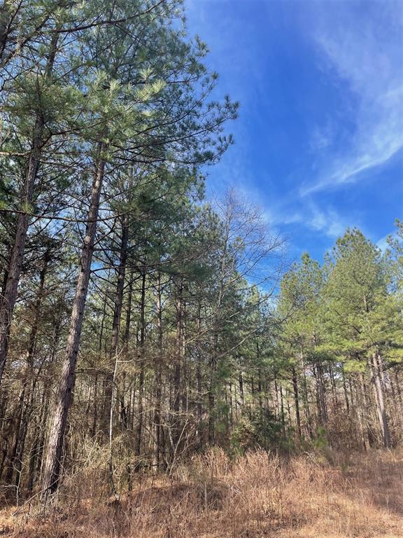 762 Timber Creek Trails South XI