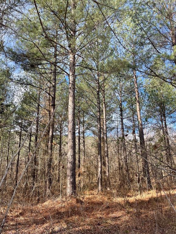 763 Timber Creek Trails South XI