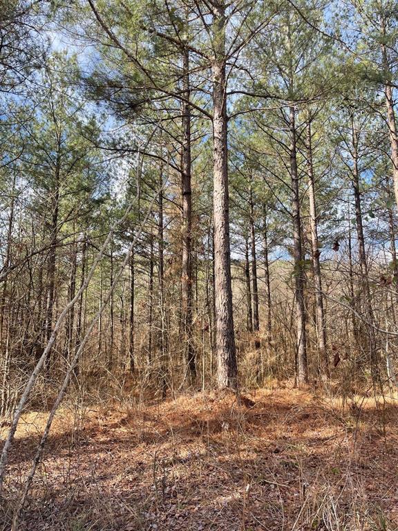 763 Timber Creek Trails South XI