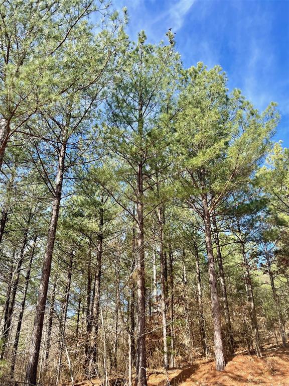 764 Timber Creek Trails South XI