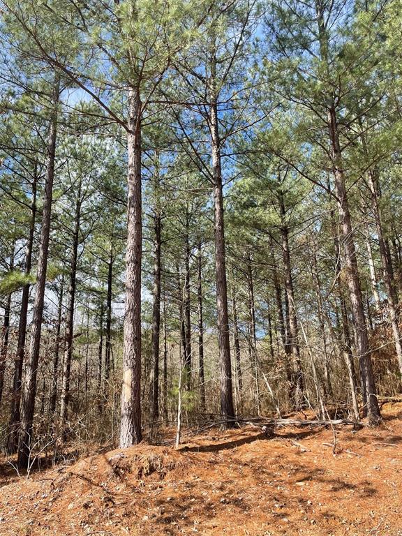 764 Timber Creek Trails South XI