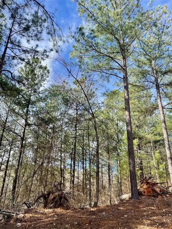 764 Timber Creek Trails South XI