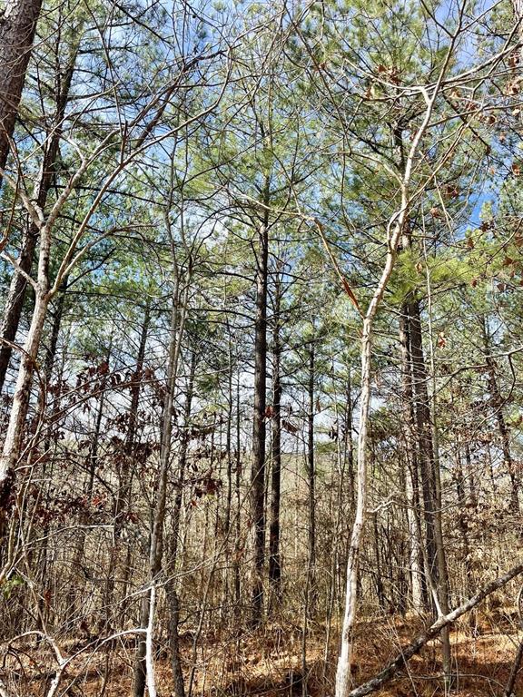 764 Timber Creek Trails South XI