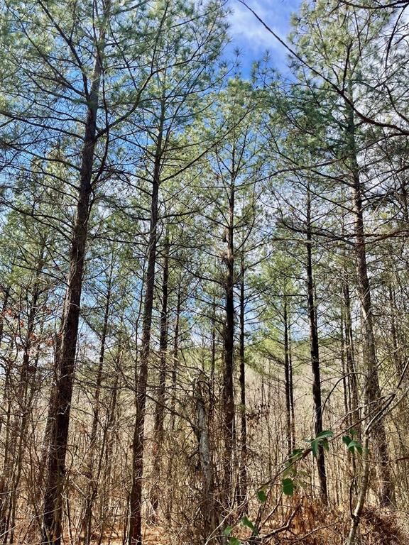 764 Timber Creek Trails South XI