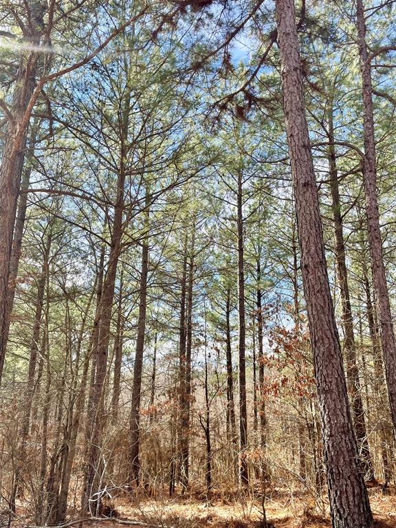 764 Timber Creek Trails South XI