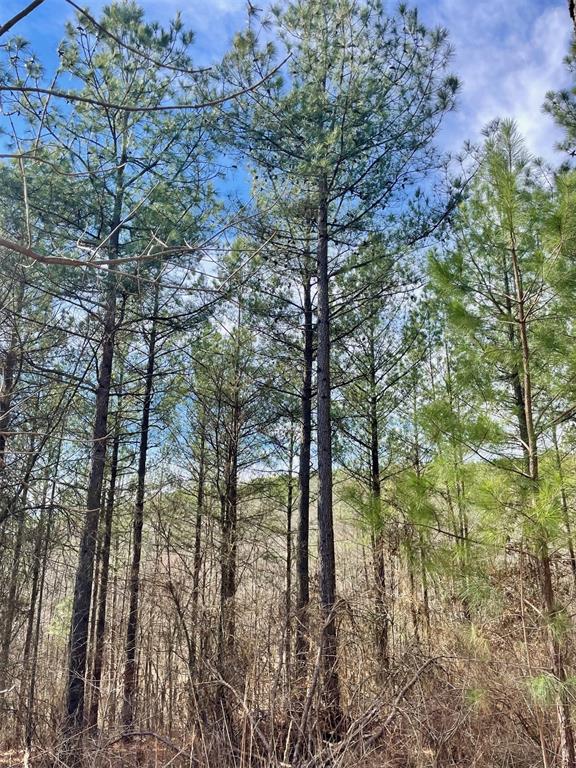 764 Timber Creek Trails South XI