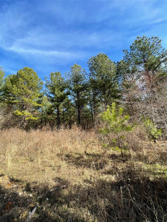 765 Timber Creek Trails South XI