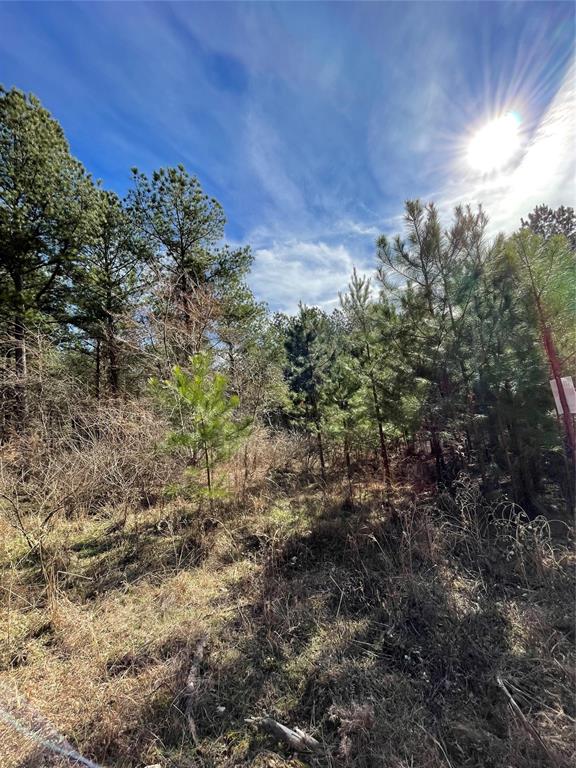 765 Timber Creek Trails South XI