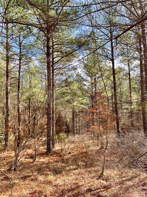 766 Timber Creek Trails South XI