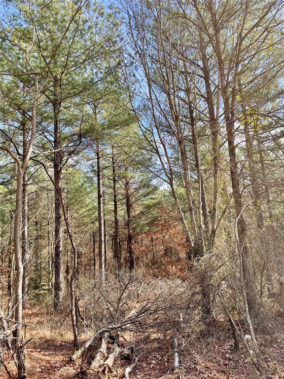 766 Timber Creek Trails South XI
