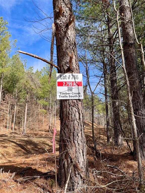 766 Timber Creek Trails South XI
