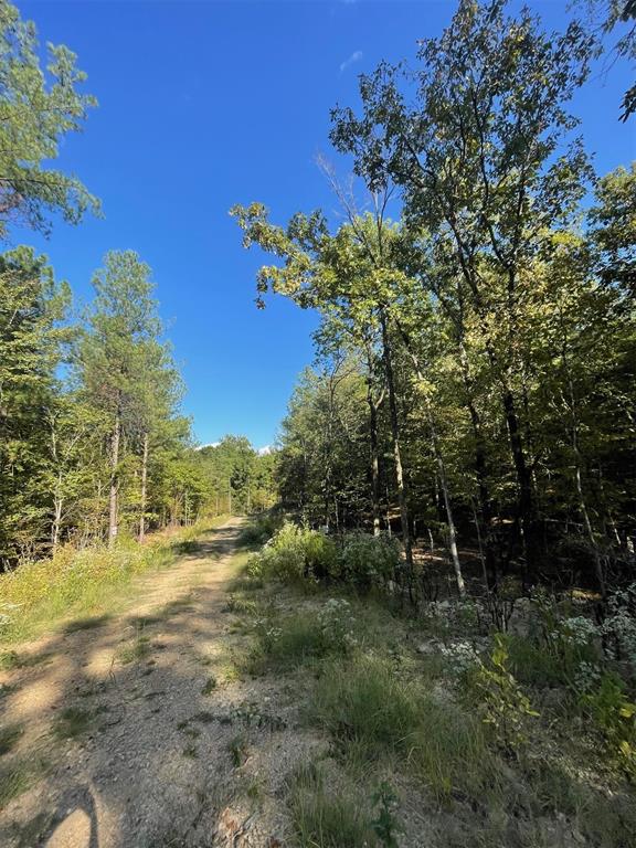 767 Timber Creek Trails South XI