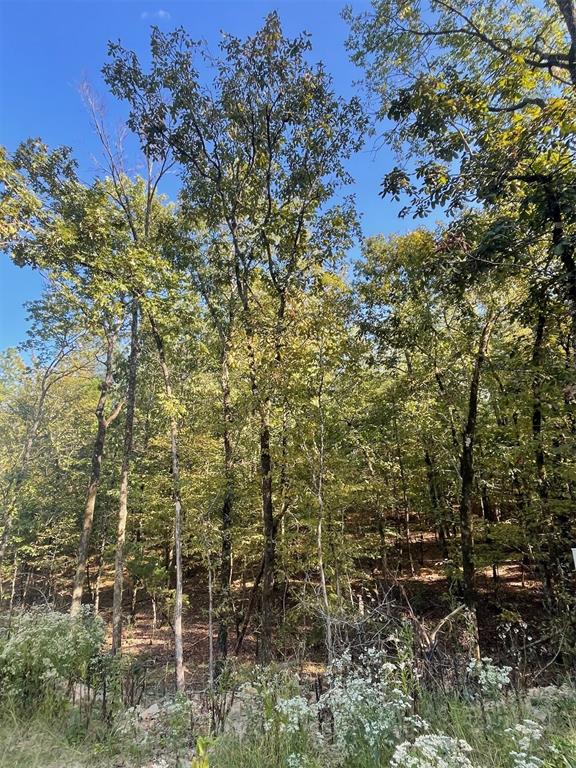767 Timber Creek Trails South XI