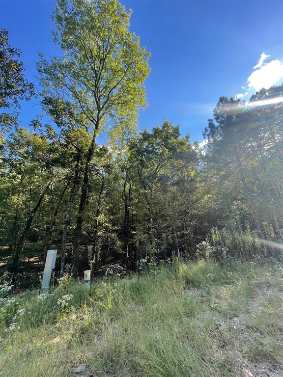 767 Timber Creek Trails South XI
