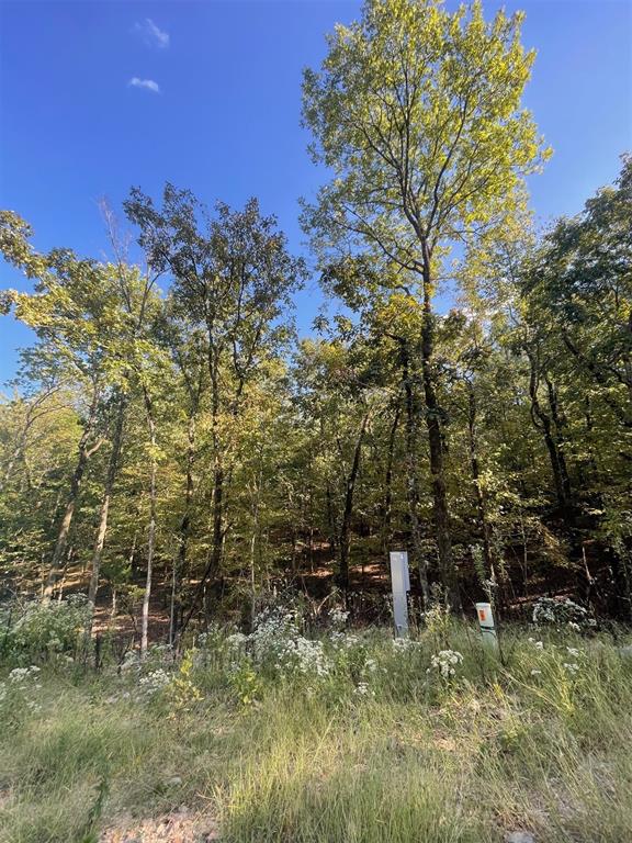 767 Timber Creek Trails South XI