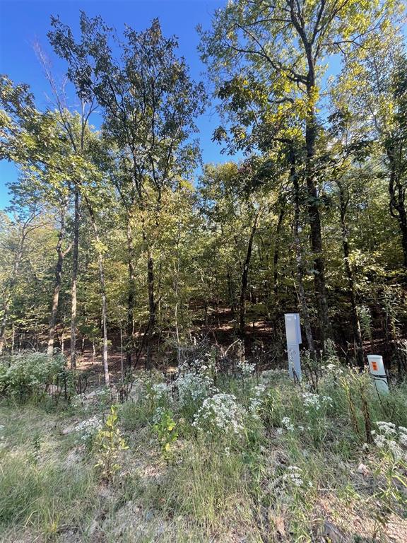 767 Timber Creek Trails South XI