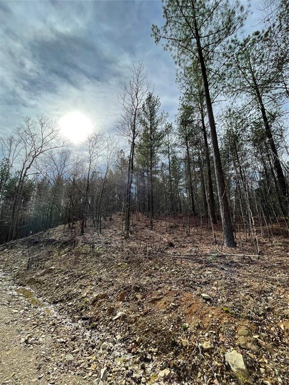 768 Timber Creek Trails South XI