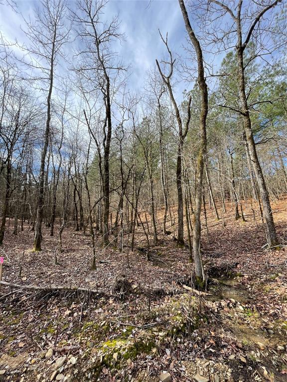 768 Timber Creek Trails South XI