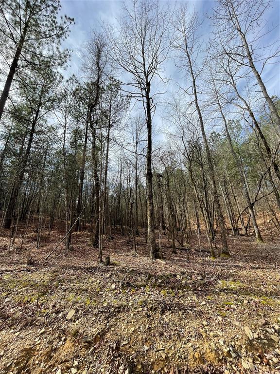 768 Timber Creek Trails South XI