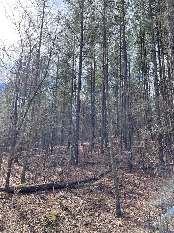 769 Timber Creek Trails South XI