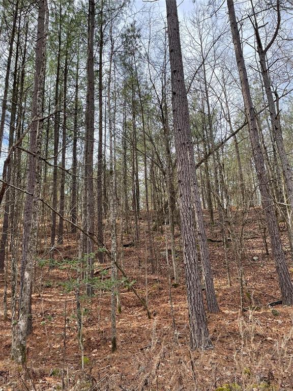 769 Timber Creek Trails South XI
