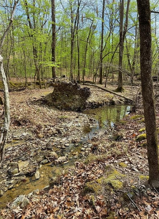770 Timber Creek Trails South XI