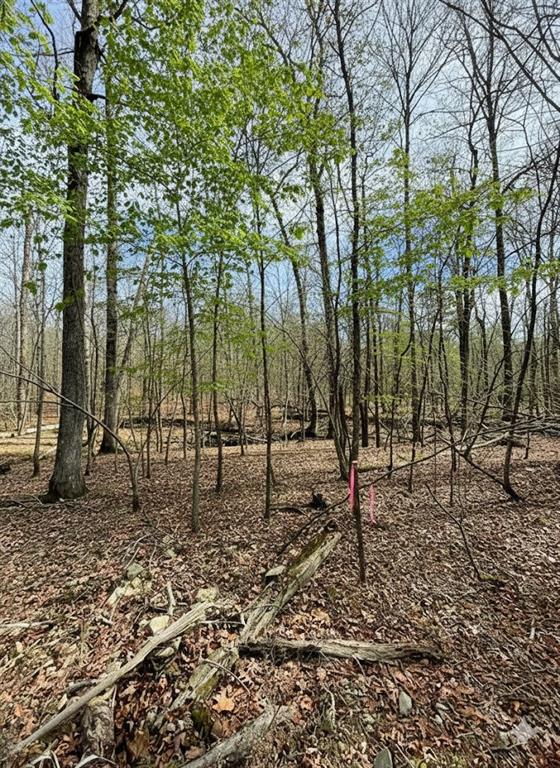 770 Timber Creek Trails South XI