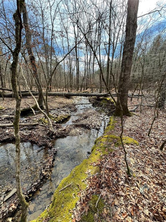 770 Timber Creek Trails South XI