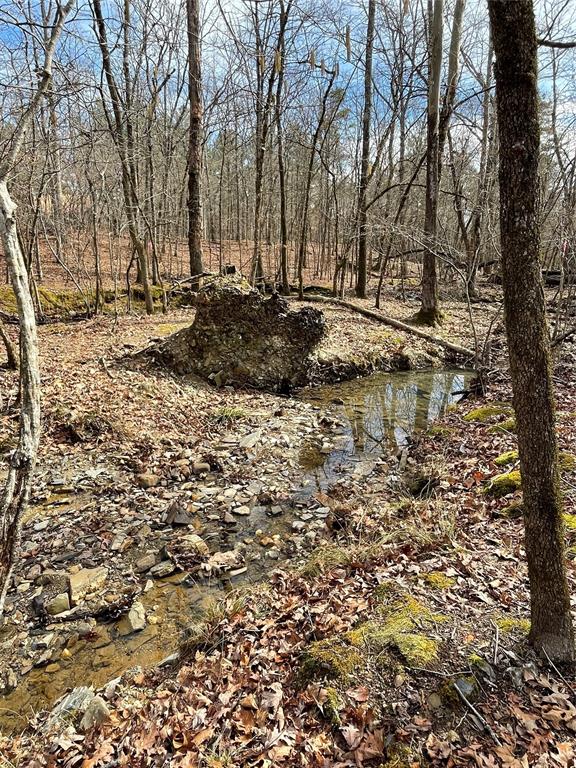 770 Timber Creek Trails South XI