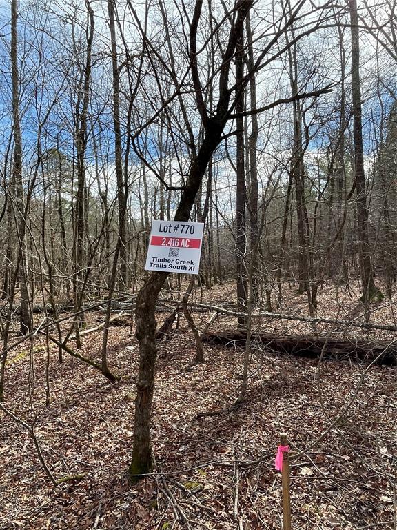 770 Timber Creek Trails South XI