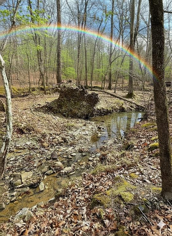 770 Timber Creek Trails South XI