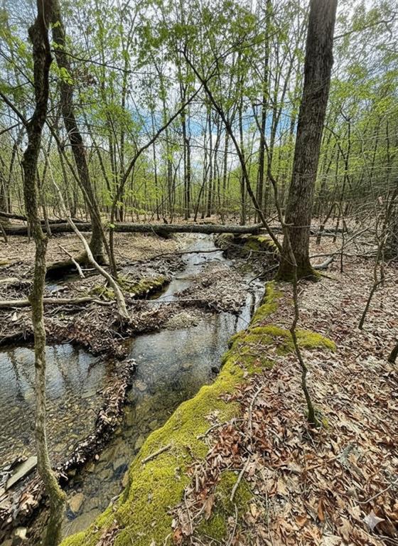770 Timber Creek Trails South XI