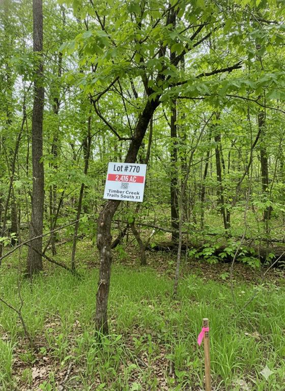 770 Timber Creek Trails South XI