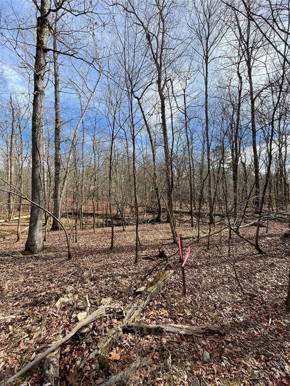 770 Timber Creek Trails South XI