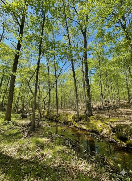 771 Timber CreekI Trails South X