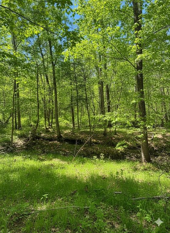 771 Timber CreekI Trails South X