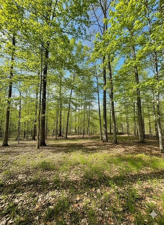 771 Timber CreekI Trails South X