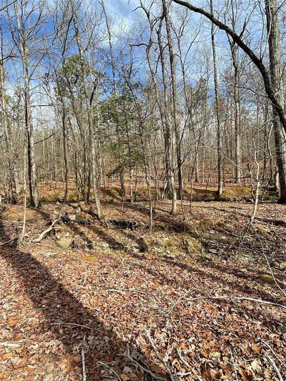 771 Timber CreekI Trails South X