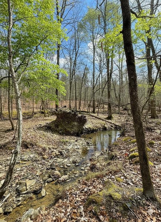 771 Timber CreekI Trails South X