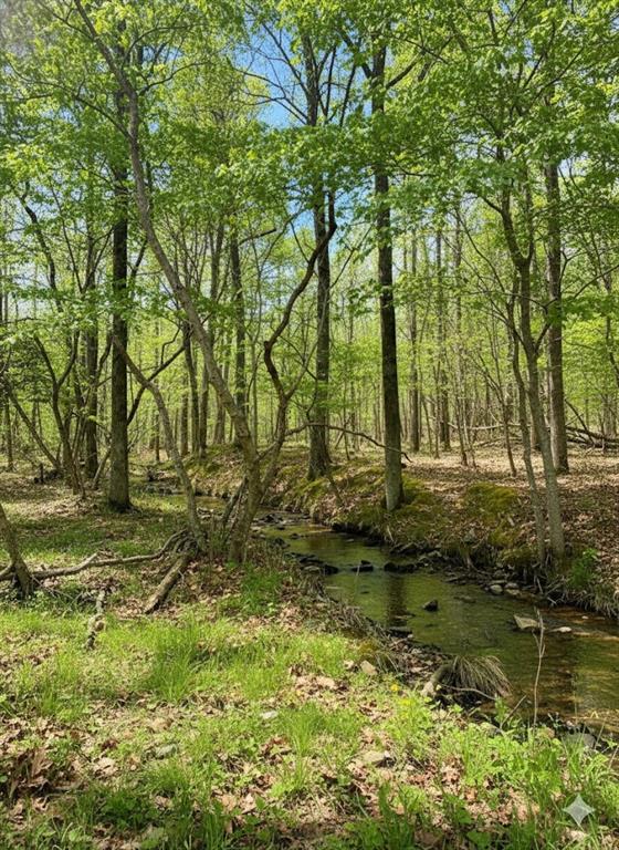 771 Timber CreekI Trails South X