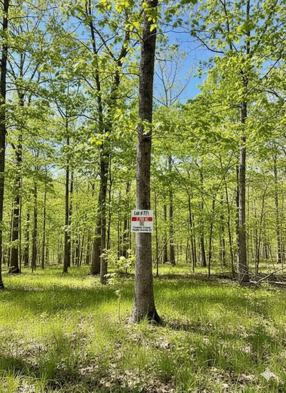 771 Timber CreekI Trails South X