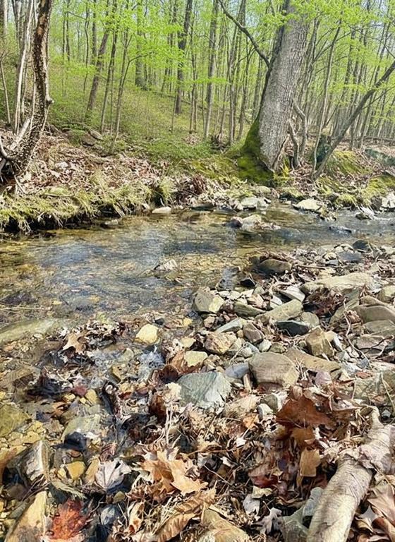 772 Timber Creek Trails South XI