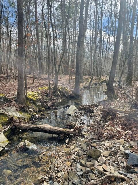 772 Timber Creek Trails South XI