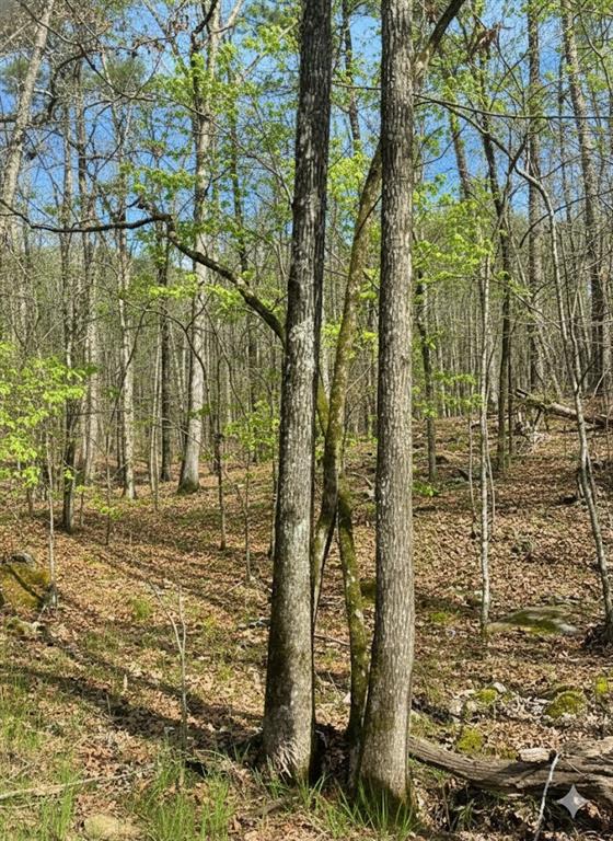 772 Timber Creek Trails South XI