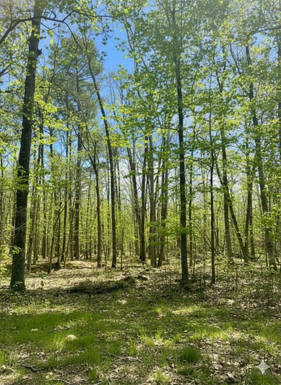 772 Timber Creek Trails South XI