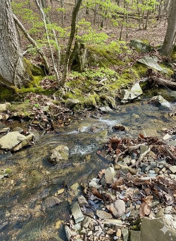 772 Timber Creek Trails South XI