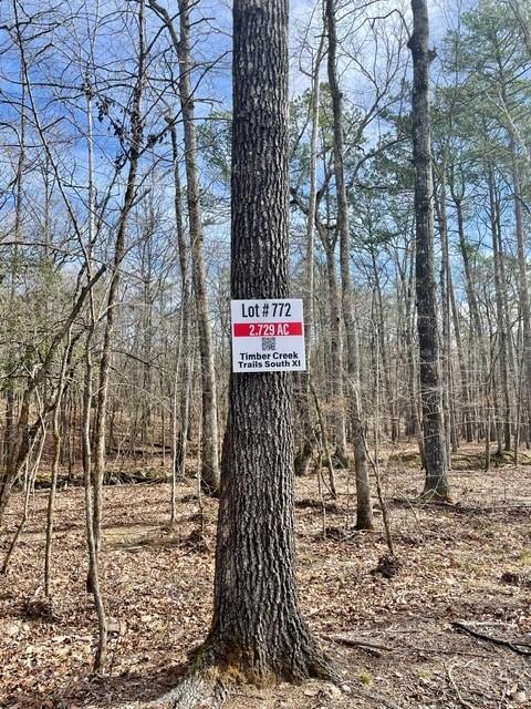 772 Timber Creek Trails South XI